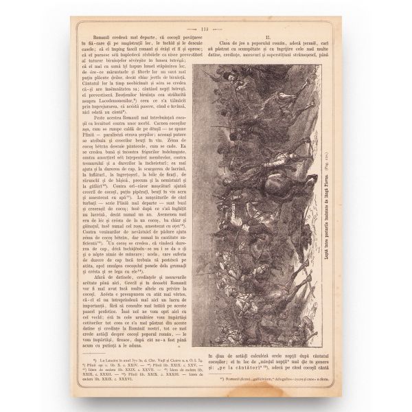 Publicația „Albina Carpaților”, Anul I-II, 1877-1878