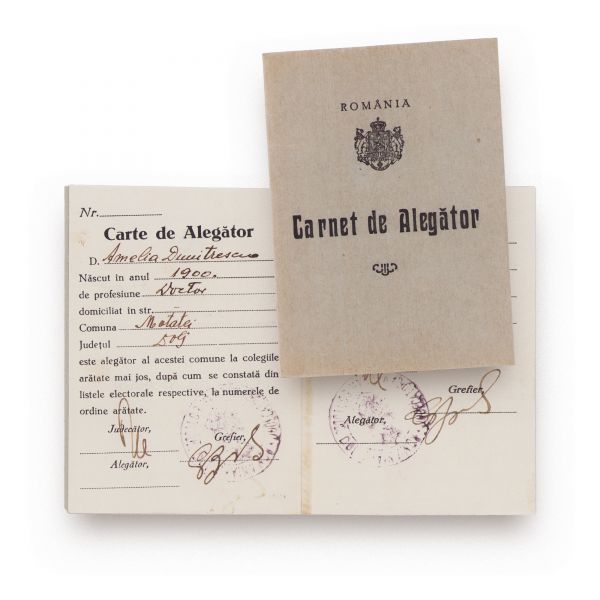 Doctor Amelia Dumitrescu, carte de alegător