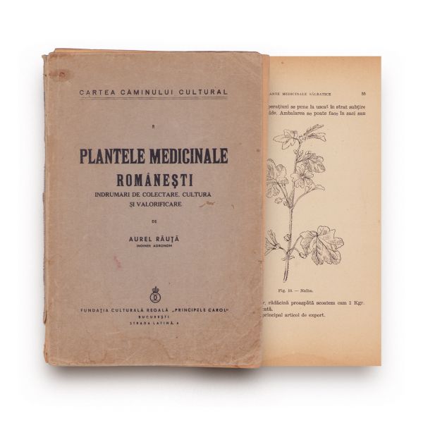 Aurel Răuță, Plantele medicinale românești