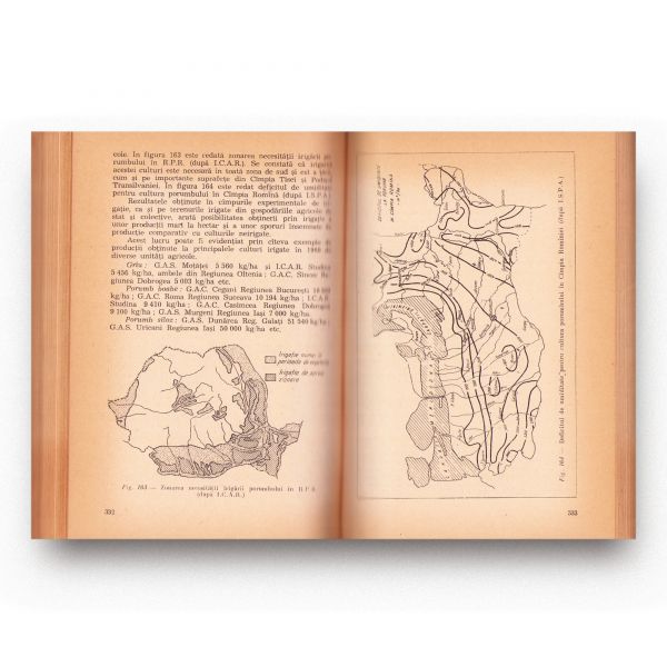 S. Boeru, Ameliorații agricole, 1961