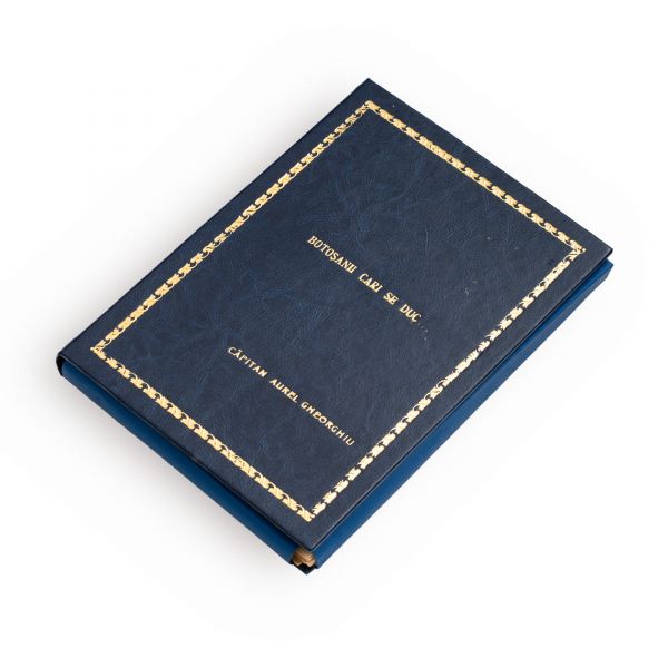 Căpitan Aurel Gheorghiu, Botoșanii cari se duc…, mapă cu 39 planșe