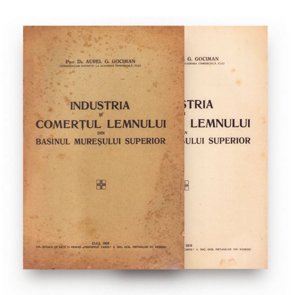 Aurel G. Gociman, Industria și comerțul lemnului din Bazinul Mureșului Superior, 1929