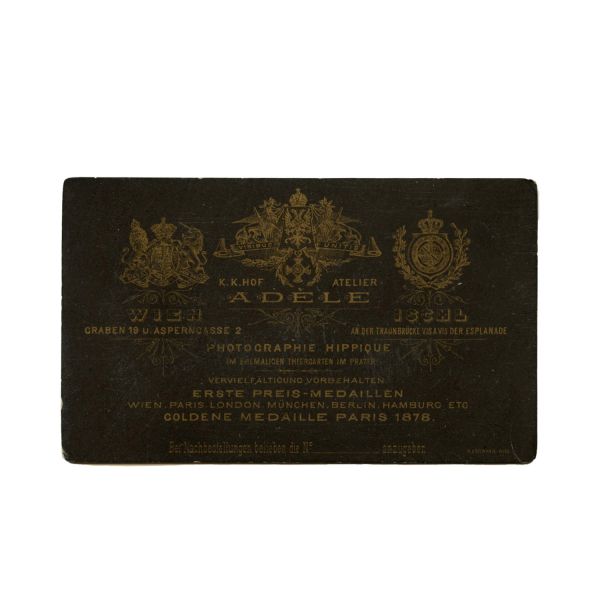 Familia Trâncu-Iași, documente de arhivă ce-l privesc pe Sergiu Celibidache