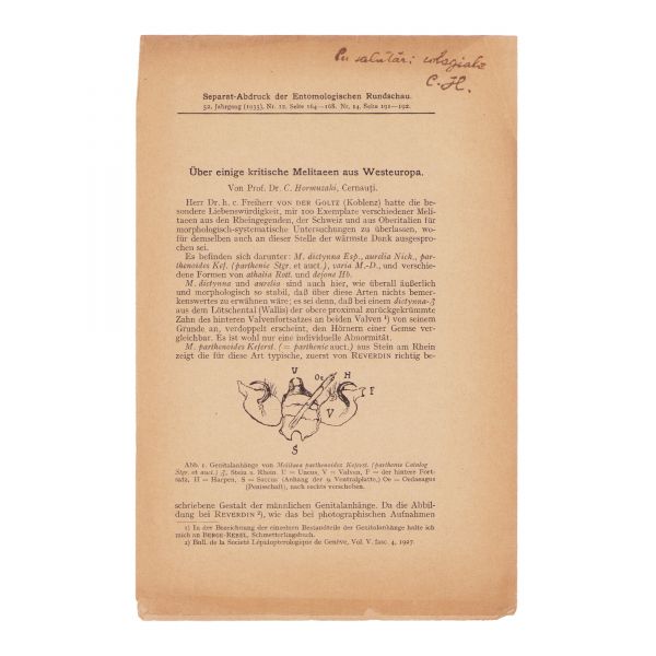 Constantin Hormuzachi, cinci articole, cu dedicație pentru zoologul Andrei Popovici-Bâznoșanu