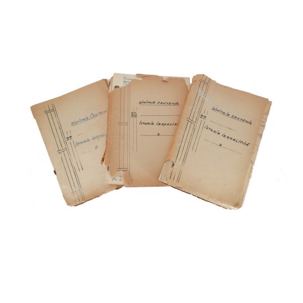 Dimitrie Cantemir, Istoria Ieroglifică, manuscrisul transpunerii moderne de Ion Verdeș, 1987, 3 volume