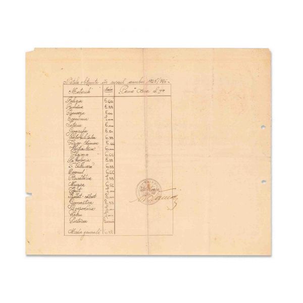 Pană Ana, certificat de aptitudine, 1926