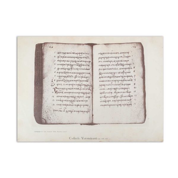 Ion G. Sbiera, Codicele Voronețean, 1895