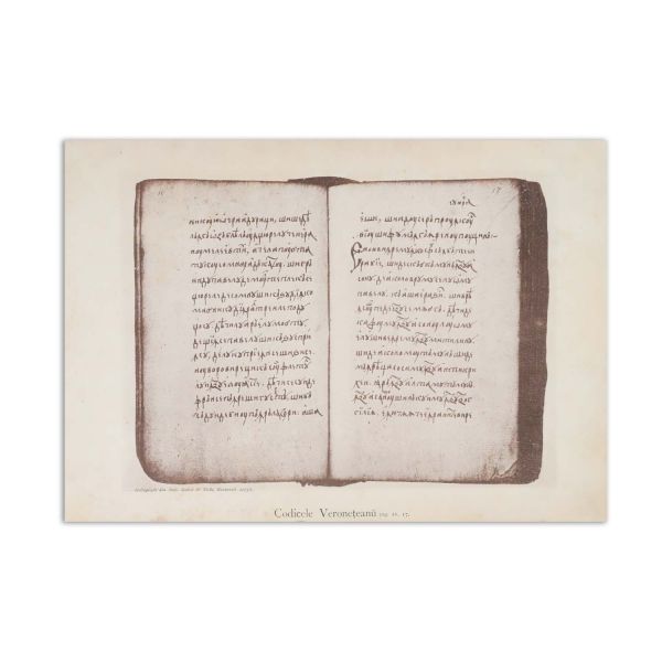 Ion G. Sbiera, Codicele Voronețean, 1895