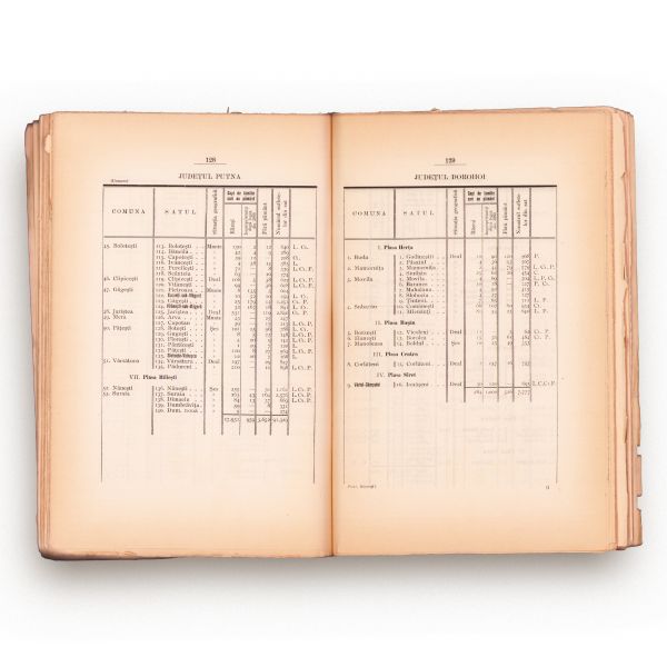 P. Poni, Statistica răzeșilor, 1921