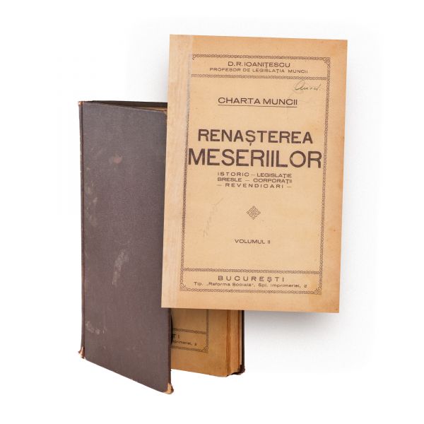 D. R. Ioanițescu, Charta muncii. Renașterea meseriilor