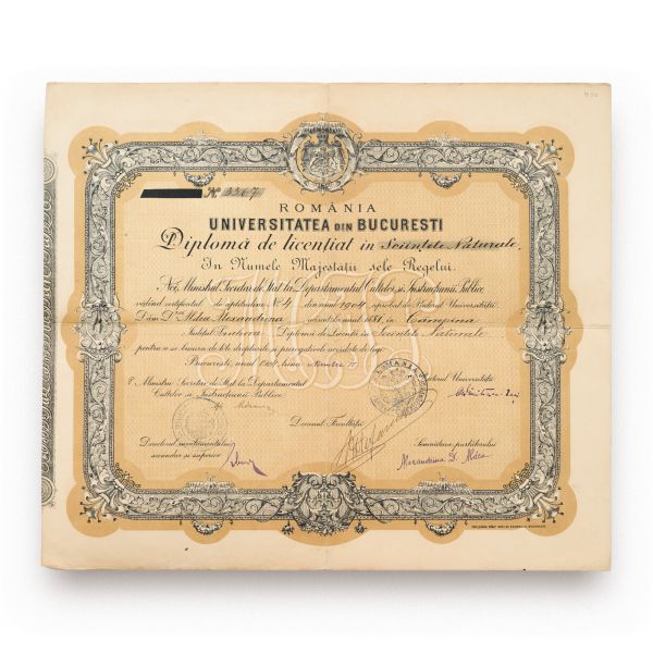Aldea Alexandrina, diplomă de licență în Științe Naturale, 15 noiembrie 1904