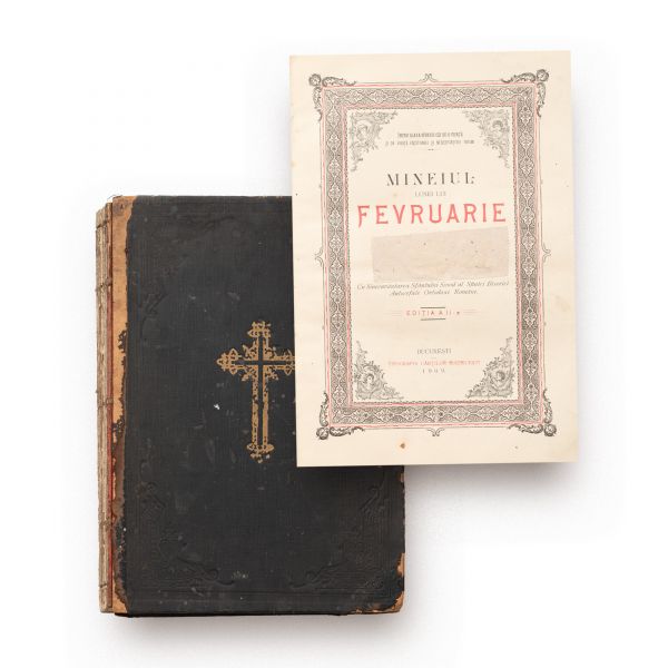 Mineiul Carol I pe luna februarie, 1909 