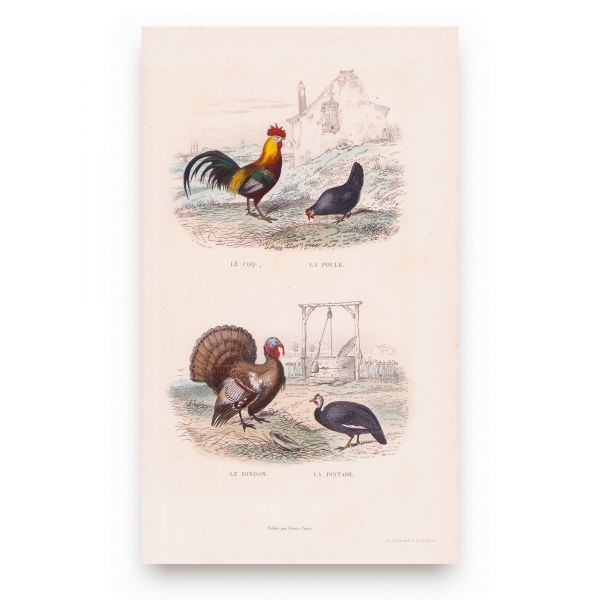 Oeuvres complètes de Buffon, 1853, 6 tomuri