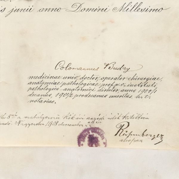 Victor Popp, diplomă de absolvent al Facultății de Medicină în Cluj, 1908