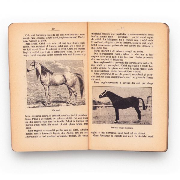 Carte de agricultură, 1931 