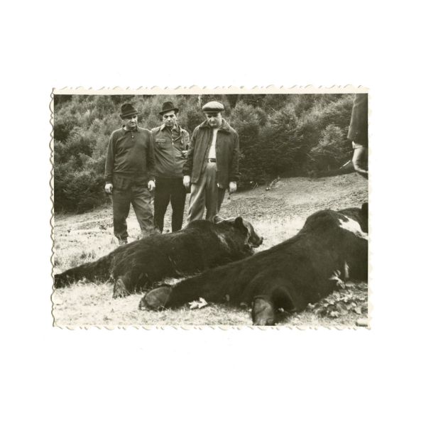 Vizita de lucru a lui Nicolae Ceaușescu, album fotografic + 49 de fotografii - vizita lui Nicolae Ceaușescu la Moscova