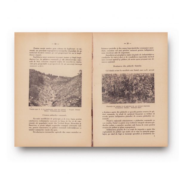 Inginer I. S. Ionescu, Pădurea românească: bun al națiunii, 1936, cu dedicație olografă 