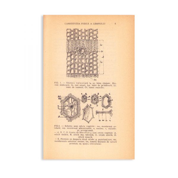 Constantin N. Tămârjan, Manualul tâmplarului. Vol. I: Cleiurile, 1941 + o bucată de clei de epocă