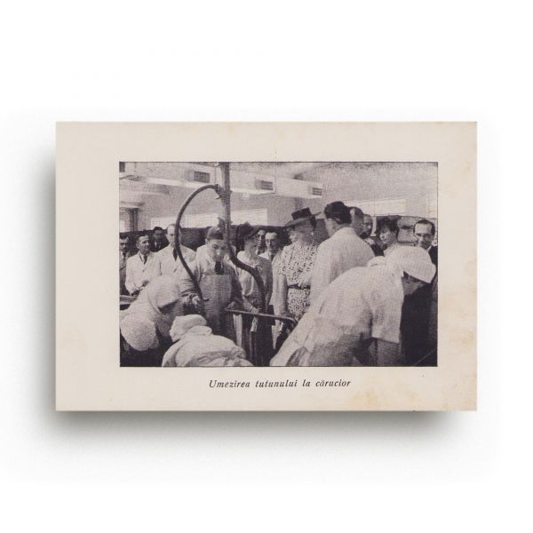 M. S. Regina Mamă Elena la manufactura de tutun „Belvedere”, album, 1941 