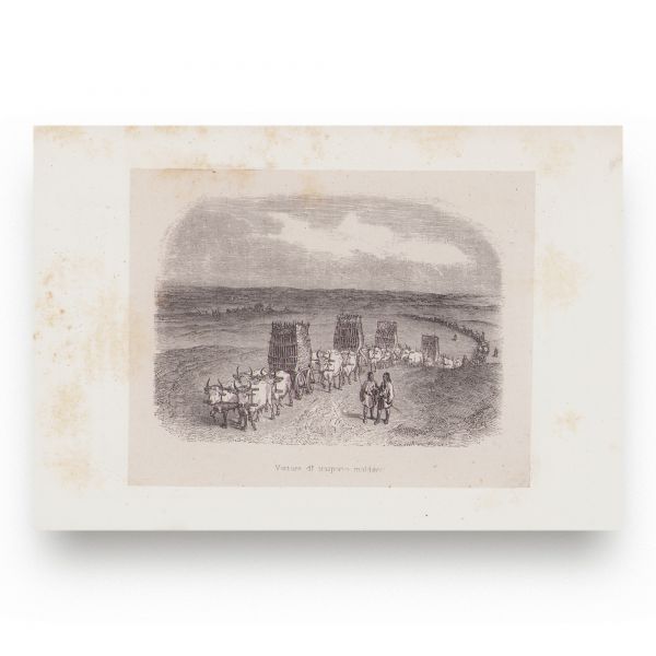 Anatole de Demidoff, Călătorie în sudul Rusiei Meridionale și Crimeea prin Ungaria, Moldova și Țara Românească, 1841