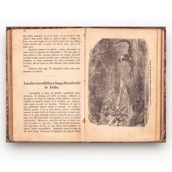Foi pentru învățătură și petrecere, patru părți colligate, [1878]