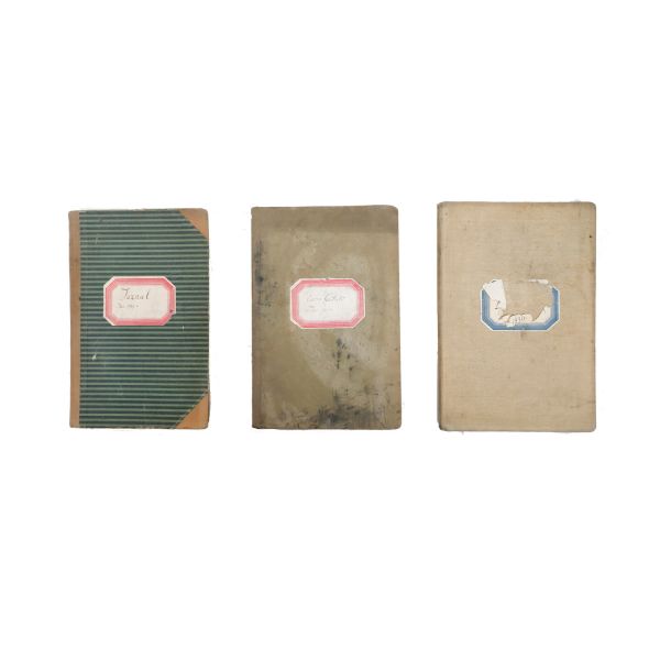 Banca Comercială „Zâna”, 3 registre