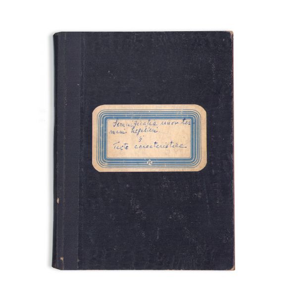 D. D. Roșca, Semnificația unor termeni hegelieni și texte caracteristice + Filosofie de l’Art, manuscrise