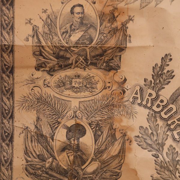 Arborele istoric genealogic al României, 1892