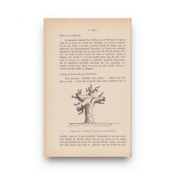 Ing. Al. P. Ionescu, Viticultura practică, cu dedicație + Vinificarea prin marea cooperație, broșură 