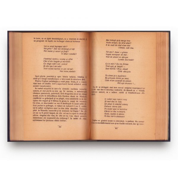 Octavian Goga, Mustul care fierbe, [1927]