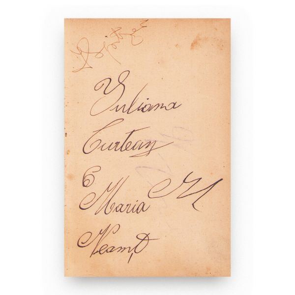 A. Vlahuță, Un an de luptă, 1895 