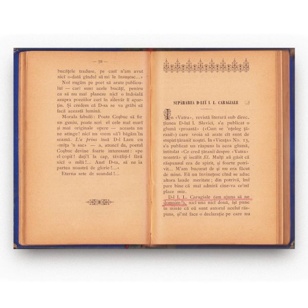 A. Vlahuță, Un an de luptă, 1895 