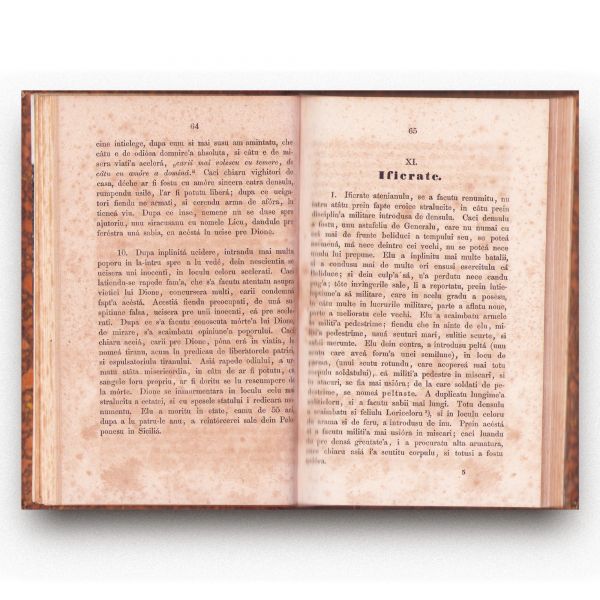 Andrea Liviu, Corneliu Nepote, 1863