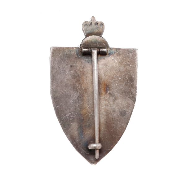 Varianta a Insignei de 7 ani „Regimentul 9 Roșiori -Regina Elena- Robănești” 