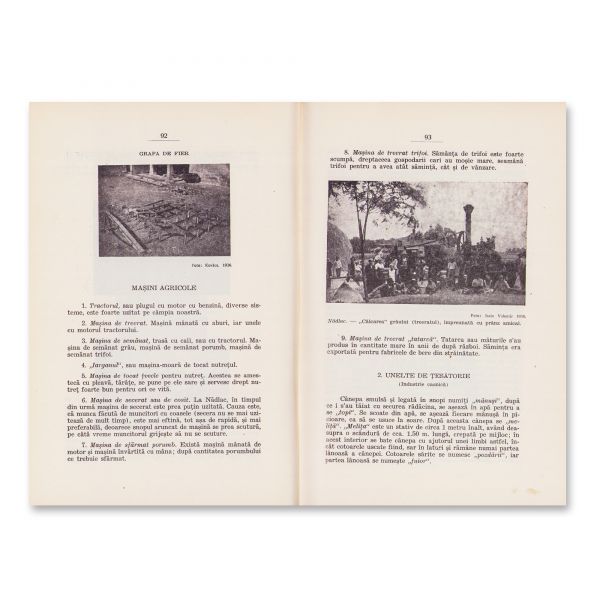 Petru Țiucra, Pribeagul, Pietre rămase. Contribuție la Monografia județului Arad, 1936