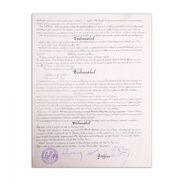 Ordonanța de Adjudecarea a Moșiei Frunzănești. Proprietatea lui Nicolae D. Amira