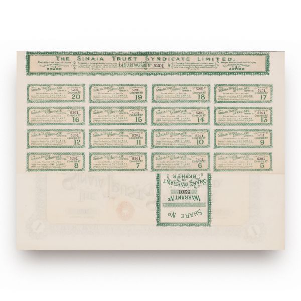 The Sinaia Trust Syndicate Limited, acțiune în valoare de 25 lire sterline