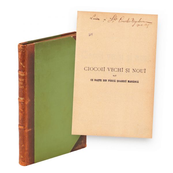 Nicolae Filimon, Ciocoii vechi și noi, 1902