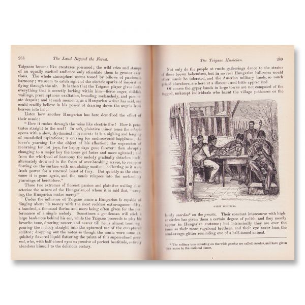 Emily Gerard, The Land Beyond the Forest, 1888 - principala sursă de inspirație a lui Bram Stoker pentru romanul Dracula