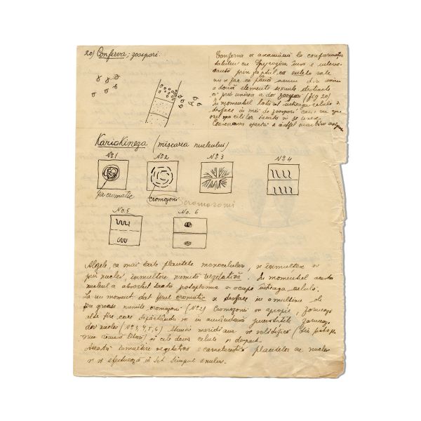 Mircea Eliade, Bonjournèe de la Science, caiet de botanică, 1921