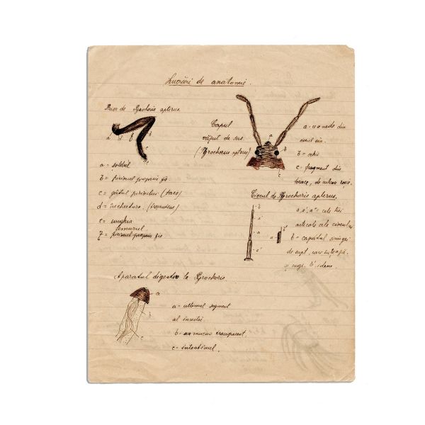 Mircea Eliade, Bonjournèe de la Science, caiet de botanică, 1921