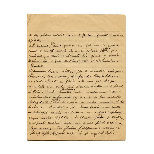 Mircea Eliade, caiet-manuscris „Note și articole”