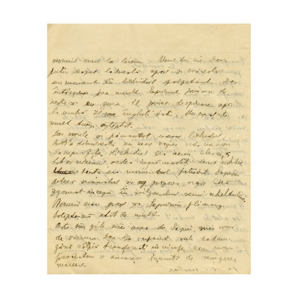 Mircea Eliade, caiet-manuscris „Memoriile unui soldat de plumb”