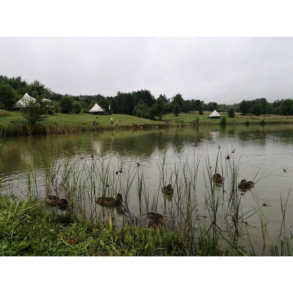 Ia-ți prietenii și hai în mijlocul naturii la Hotelul de Bumbac (3nopți de cazare în 5 corturi/15 persoane)