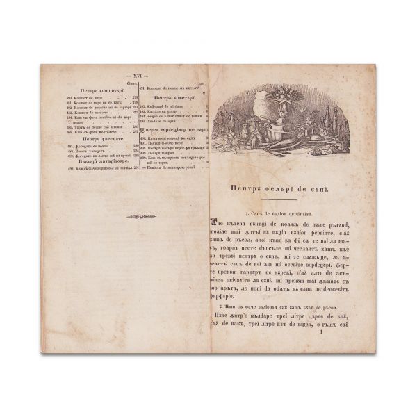 Manolachi Drăghici, Rețete cercate în număr de 500, 1846 - piesă rară