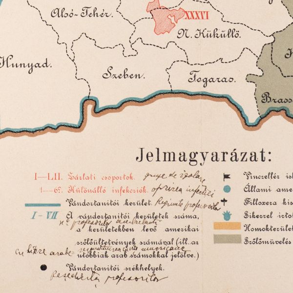 Harta Ungariei cu distribuția filoxerei, 1890