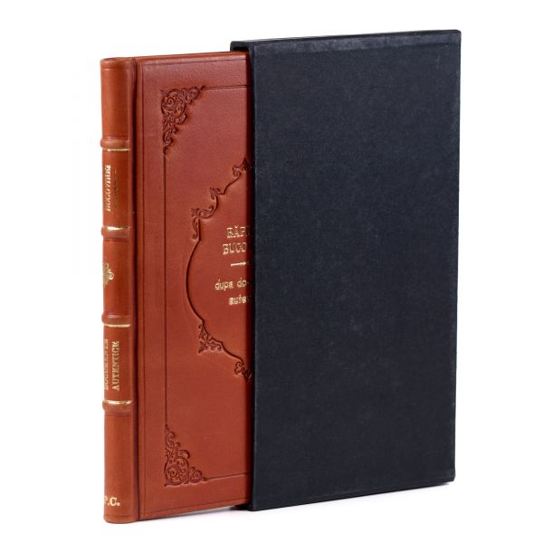 Răpirea Bucovinei după documente autentice, 1875