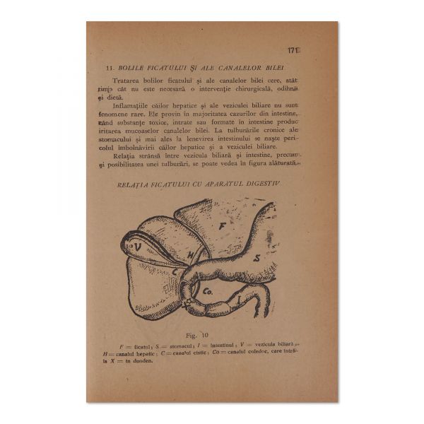 Victor Hirsch și Ilie I. Dumitru, Sănătate prin plante medicinale, 1946