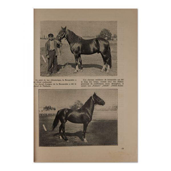 Revista științelor veterinare, anul X, iunie 1929, număr festiv