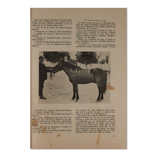 Revista științelor veterinare, anul X, iunie 1929, număr festiv